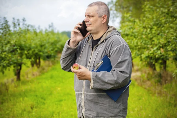 Agronomist talking on the phone in apple orchard — Stock Photo, Image