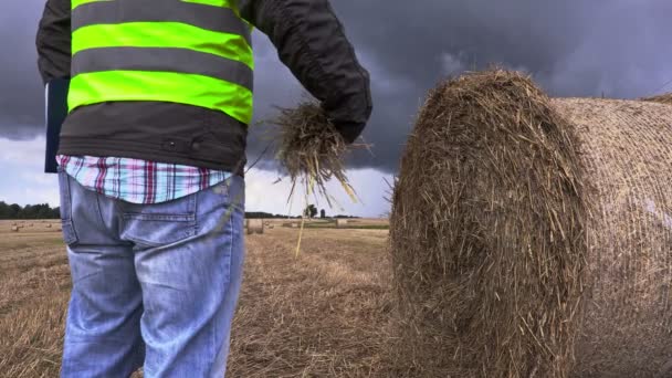 Agricultor con paja en la mano en el campo en 4K — Vídeo de stock