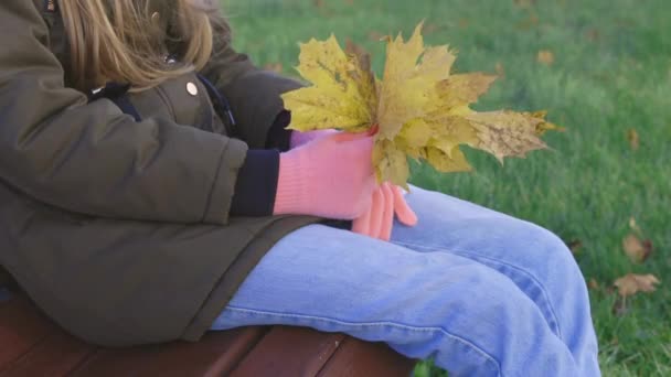 Liten Jente Sitter Benken Parken Holder Appelsinblader Høsten – stockvideo