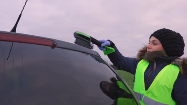 Kobieta Sprzątająca Samochód Zimowy Dzień — Wideo stockowe