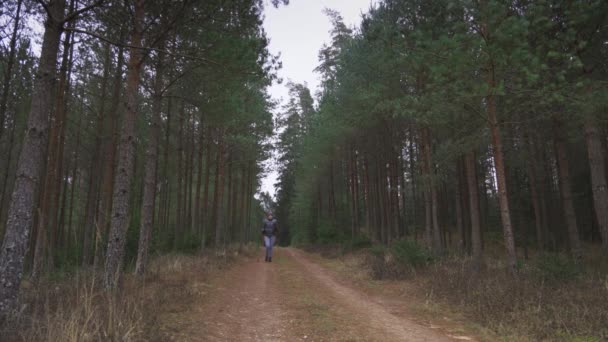 Женщина Палками Лесной Тропе — стоковое видео