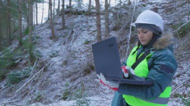 Kadın orman bilimcisi kozalaklı kesim alanında dizüstü bilgisayar kullanıyor.