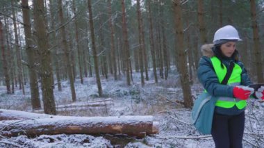 Kadın orman bilimcisi kozalaklı kesim alanını inceliyor.