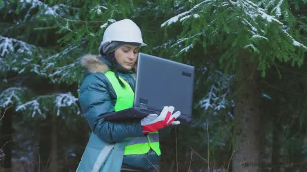 Mulher Cientista Florestal Usando Laptop Perto Abeto — Vídeo de Stock