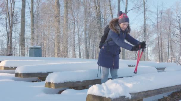 Mujer Excursionista Limpieza Nieve Cubierto Banco — Vídeos de Stock