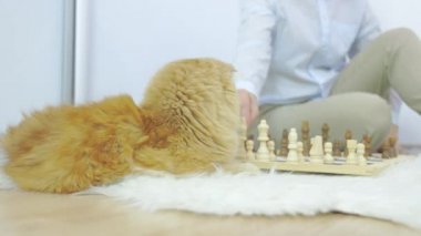 Kızıl kediyle satranç oynayan kadın