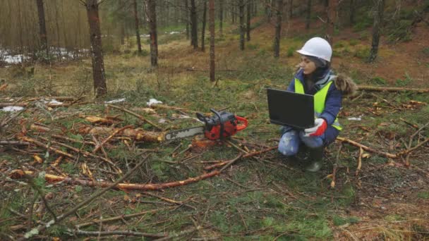 Vrouw Bos Werker Met Behulp Van Laptop Buurt Stapel Takken — Stockvideo