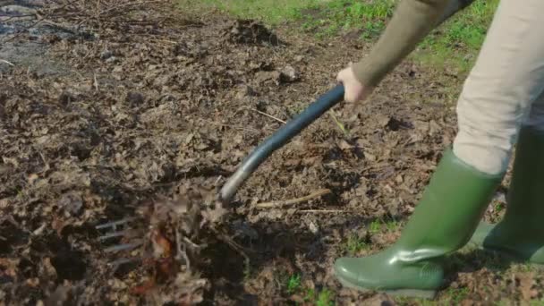 Vrouw Verwijdert Oude Bladeren Uit Grond Tuin — Stockvideo