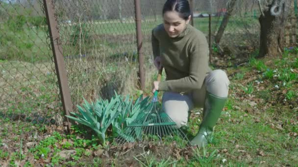 Mulher Trabalhando Jardim Usando Ancinho Jardinagem — Vídeo de Stock