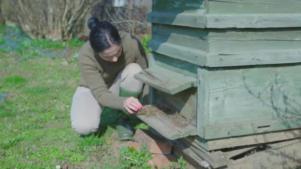 Woman Examining Old Bee Hive — Stock Video