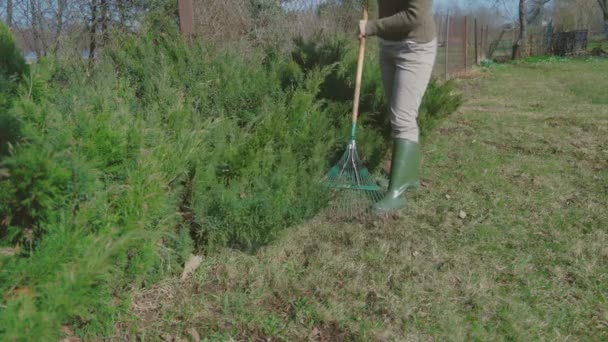 庭の女性のクリーニングエッジ 庭での季節の仕事 — ストック動画