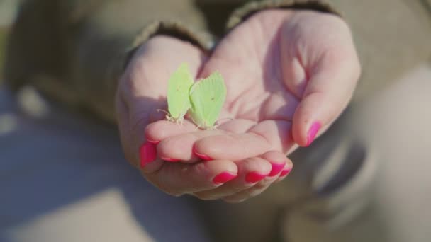 Frau Hält Schmetterlinge Garten Der Hand — Stockvideo