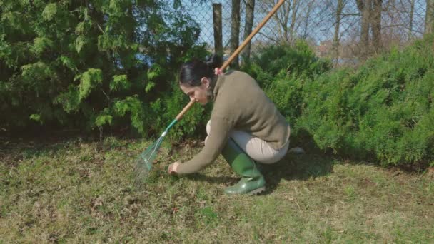 Gardener Γυναίκα Καθαρισμού Γκαζόν Από Φύλλα Στην Πίσω Αυλή — Αρχείο Βίντεο