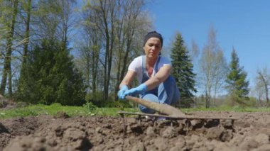 Kadın bahçıvan soğan fideleri için toprak hazırlıyor.