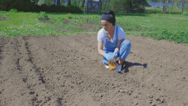 Női Farmer Fiatal Hagyma Palántákat Ültet Kertjébe — Stock videók