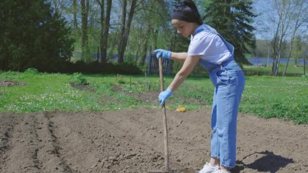 Kobieta Rolnik Pomocą Prowizji Ogrodzie Ekologicznym — Wideo stockowe