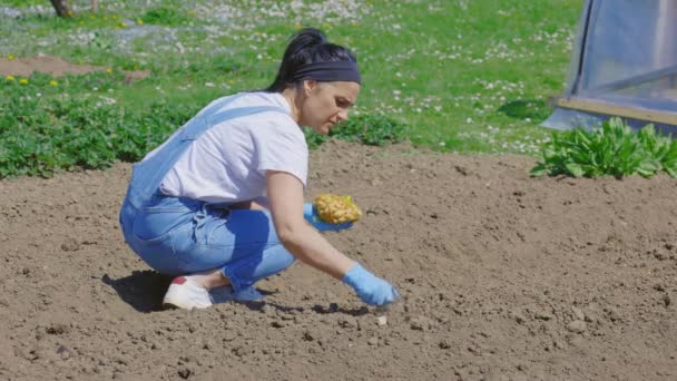 Vrouw Plant Uien Biologische Moestuin — Stockvideo