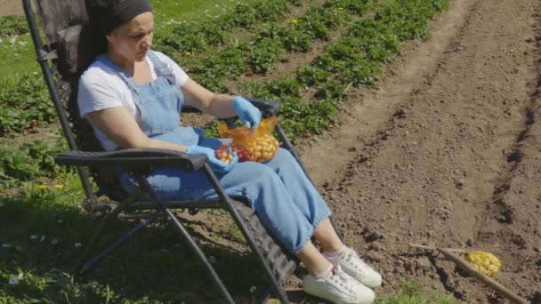 Kobieta Rolnik Przygotowanie Sadzonek Cebuli Ogrodzie Ekologicznym — Wideo stockowe