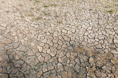 Çatlak karada üst görünüm