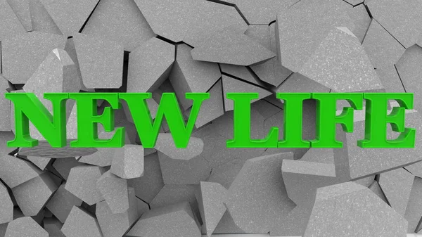 Kırık duvarda yeni bir yaşam konsepti