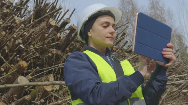 枝の山の近くのタブレットを使用して女性の林業 — ストック動画