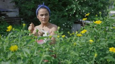 Yaz çiçeklerine böcek ilacı sıkan bir kadın.