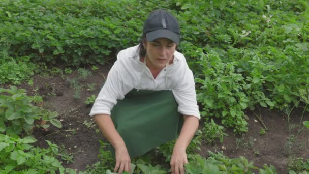 女性農家は暑熱で気分が悪くなる — ストック動画