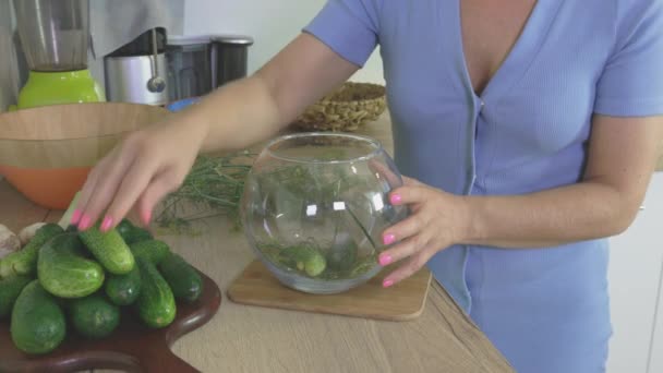 Konzept Der Konservierung Von Frischem Bio Gemüse Glas — Stockvideo