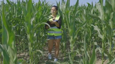 Kadın çiftçi mısır tarlasında duruyor ve yazıyor