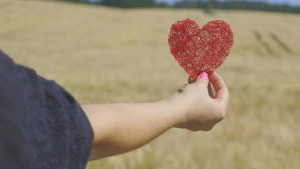 Mulher Segurando Coração Papel Campo Cereais — Vídeo de Stock