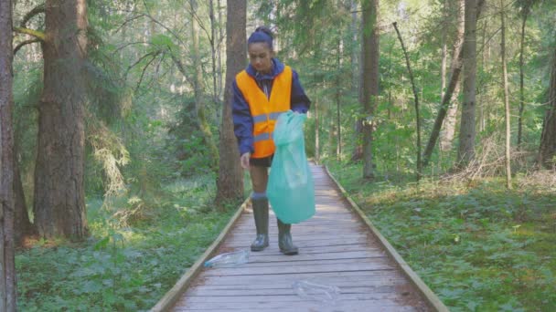 Volunteer Cleaning Forest Plastic Pollution Cleaning Environment Concept — Stock Video