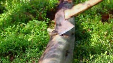 bir balta ile işlenmiş günlüğü