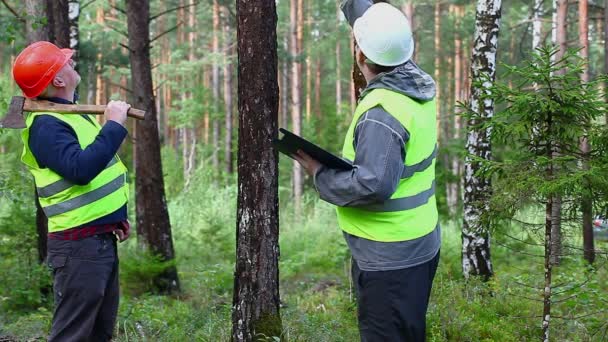 Forstbeamter im Gespräch mit Arbeiter — Stockvideo