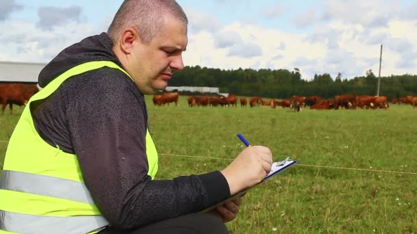 Agricultor escrevendo perto das vacas — Vídeo de Stock