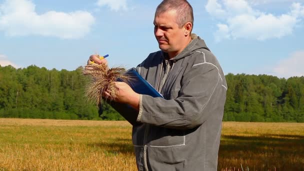 Agricultor con cereal y carpeta — Vídeos de Stock