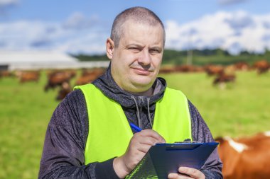 İnekler yakınındaki çiftçi