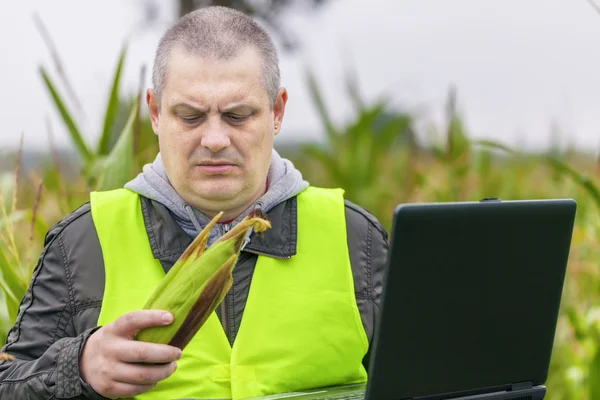 Farmer with PC — Stock Photo, Image