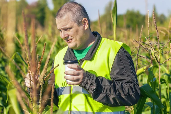 Agricultor com xícara de café — Fotografia de Stock