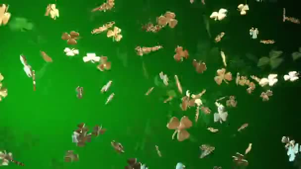 Abstract clover leaves in gold — Stock Video