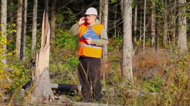 Yok edilen orman içinde cep telefonuyla konuşurken oduncu