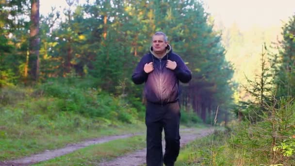 Senderista en el bosque en sendero — Vídeo de stock