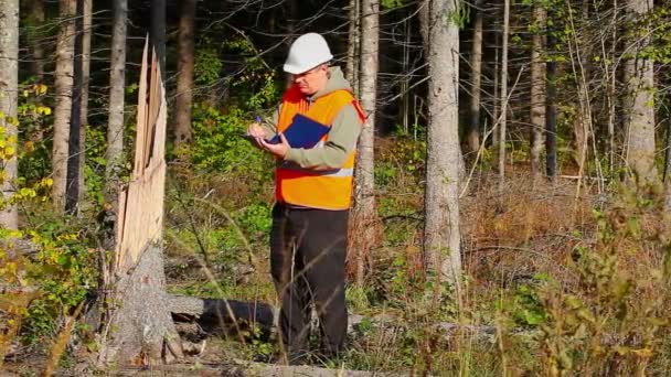 Lumberjack com pasta na floresta destruída — Vídeo de Stock