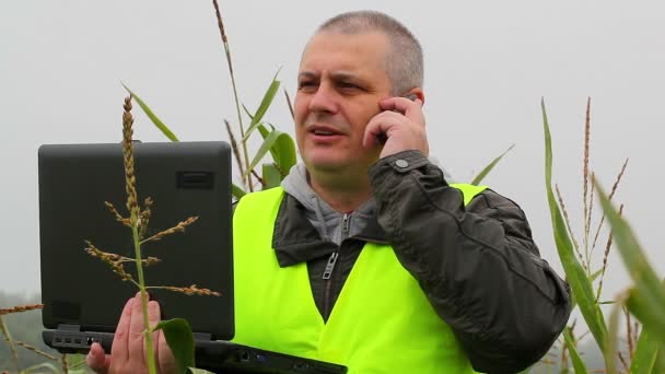 Agricultor com PC e telefone celular no campo de milho — Vídeo de Stock