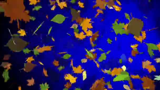 Astratto autunno foglie su uno sfondo blu — Video Stock