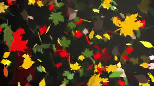 Feuilles d'automne abstraites sur fond noir — Video