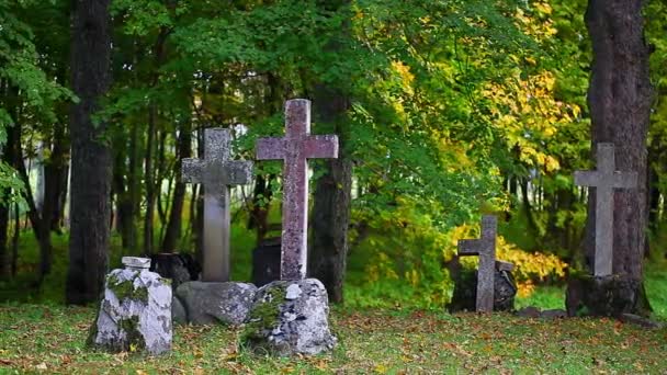 Old stone crosses on graves with autumn trees around — Stock Video