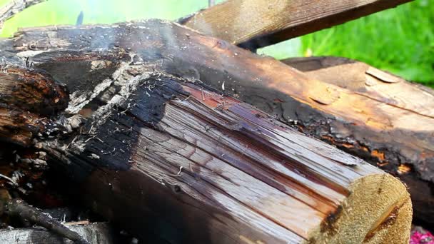 Горящие дрова в костре — стоковое видео