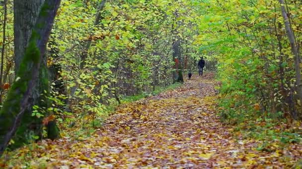 Caminhante com cão no parque no outono — Vídeo de Stock