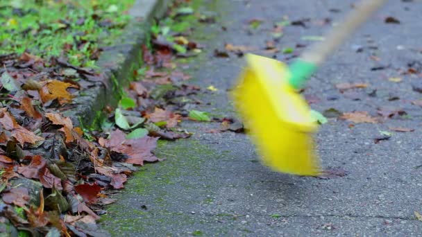 Працівник збирає листя на вулиці біля парку — стокове відео