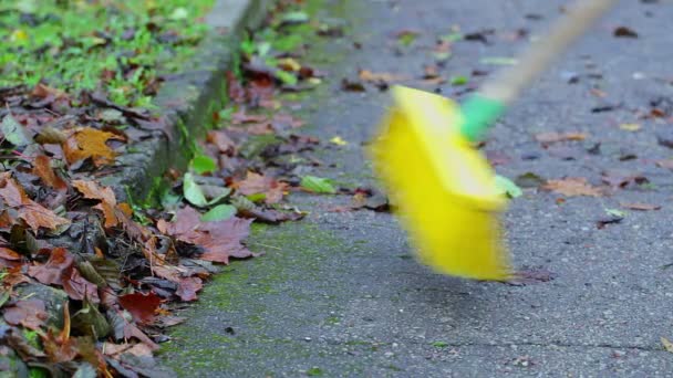 I lavoratori raccolgono foglie sulla strada vicino a parco — Video Stock